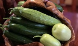 当代网红吃瓜视频,揭秘娱乐圈幕后真相